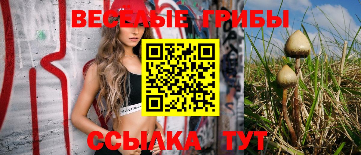Элиста  Галлюциногенные грибы ЛСД  Вход с VPN 