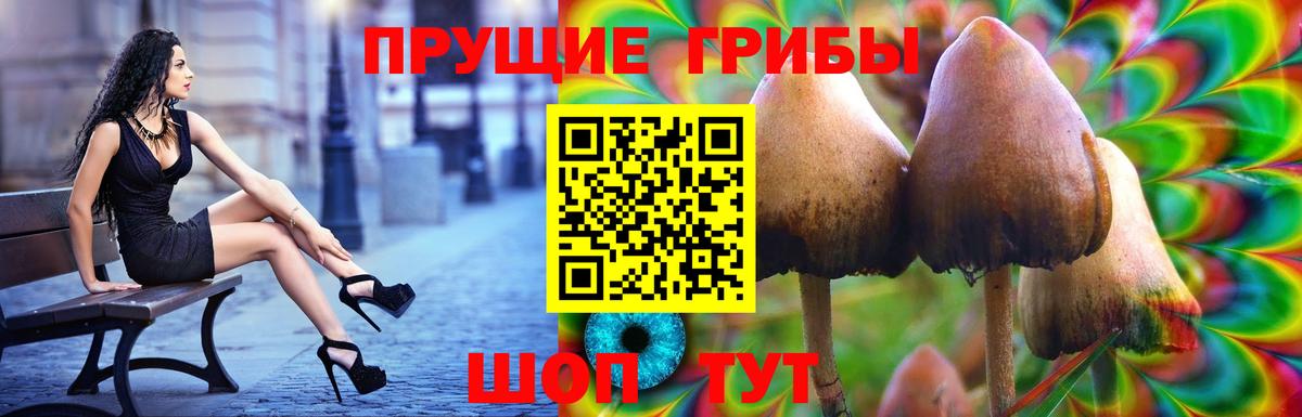 Галлюциногенные грибы Magic Shrooms Элиста